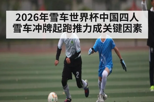 2026年雪车世界杯中国四人雪车冲牌起跑推力成关键因素 - leyu